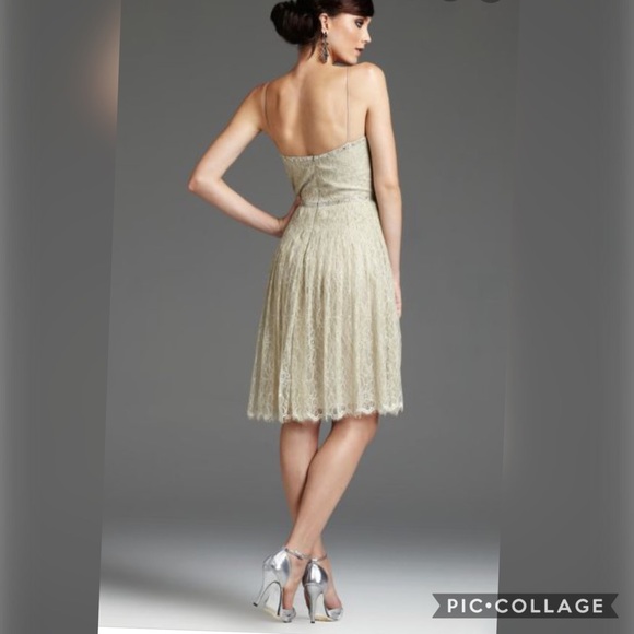 Mignon lace overlay cocktail dress - Picture 3 of 12